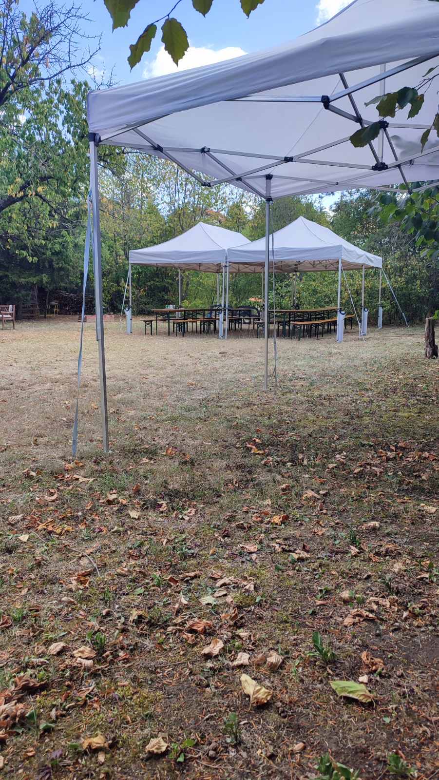 Céges és családi események 2 előnézet