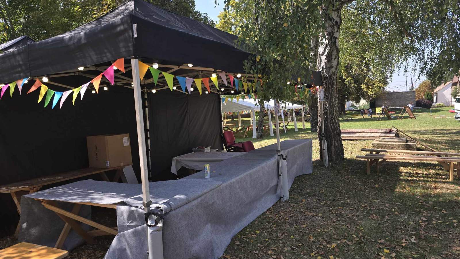 Fesztivál 6 előnézet